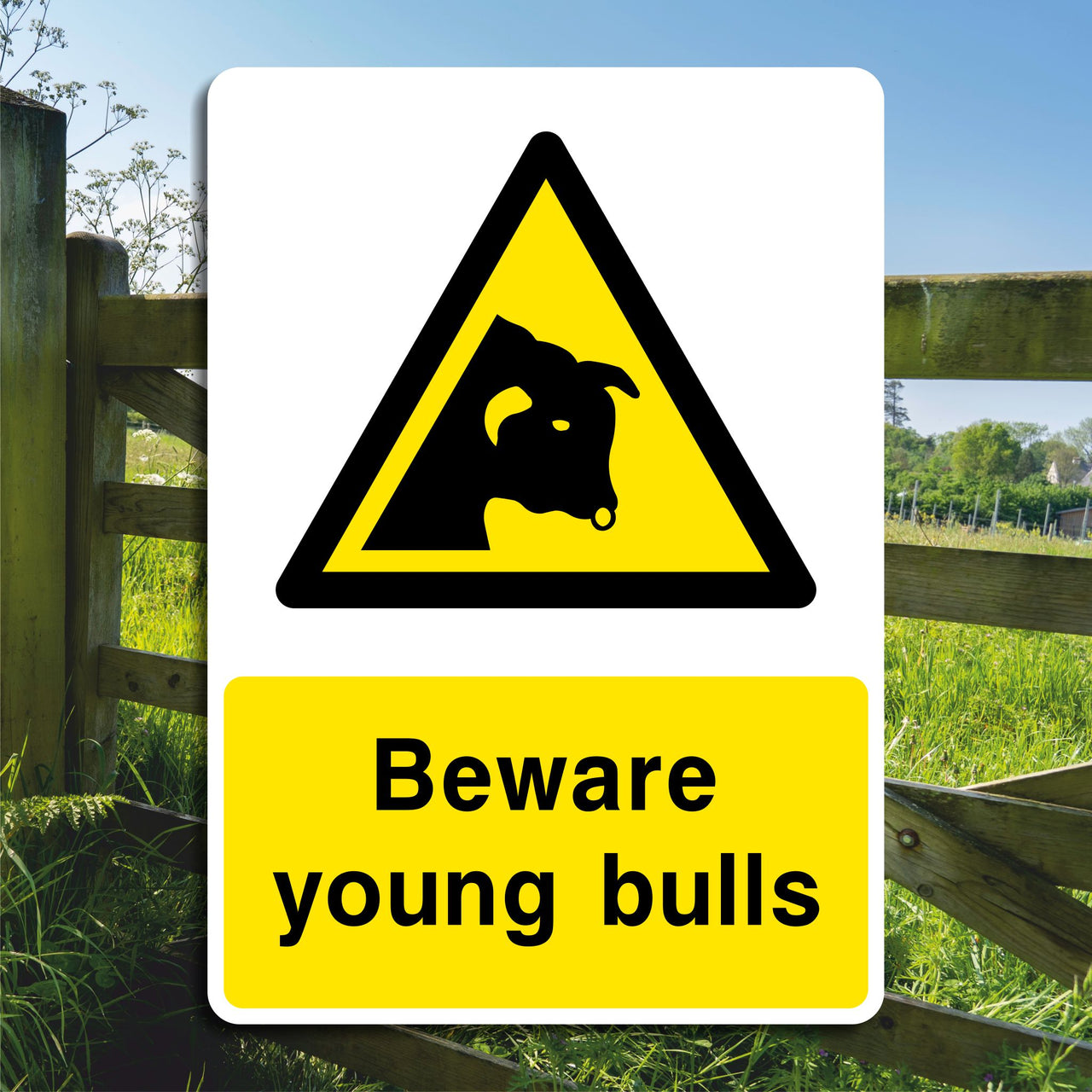 Beware Young Bulls Sign