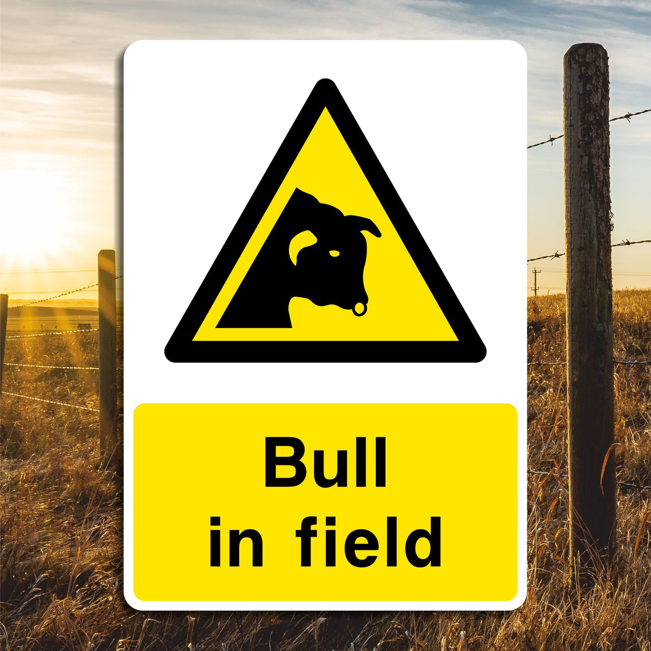 Bull in Field Sign