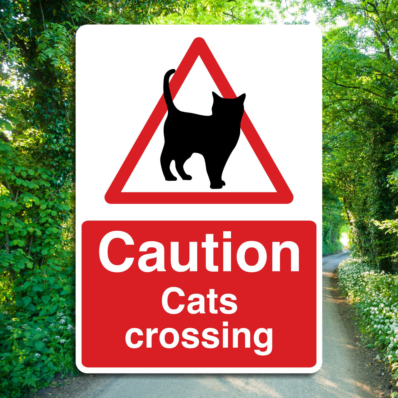 Caution Cats Crossing Sign