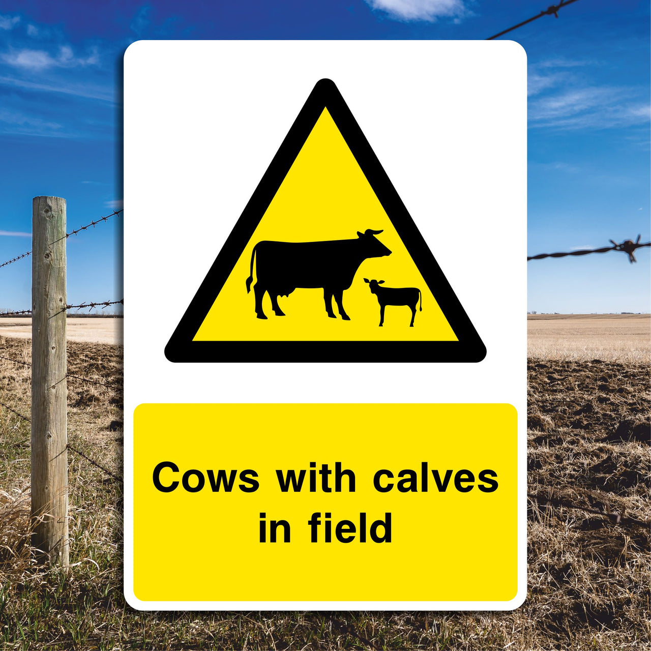 Cows with Calves in Field Sign