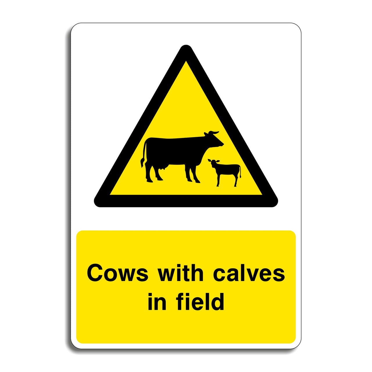 Cows with Calves in Field Sign