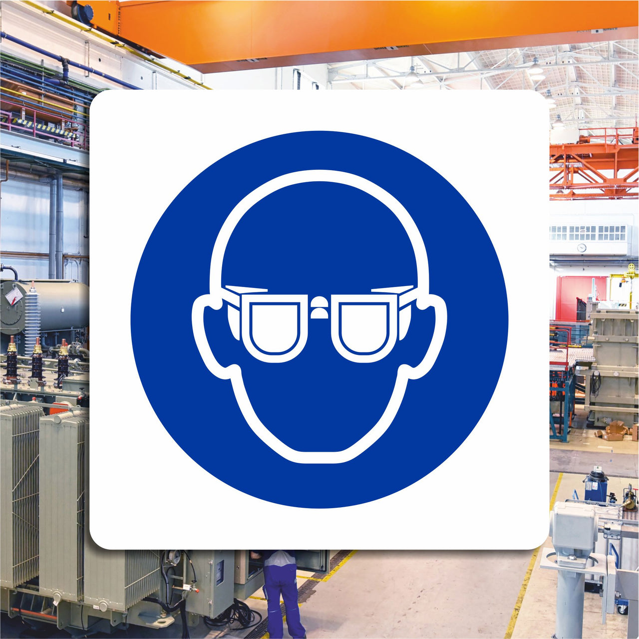 Wear Eye Protection Sign