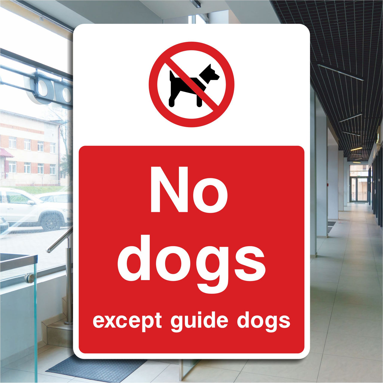 No Dogs Except Guide Dogs Sign