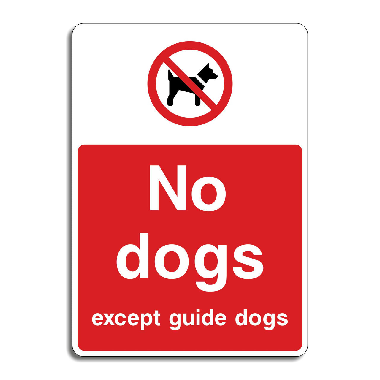 No Dogs Except Guide Dogs Sign