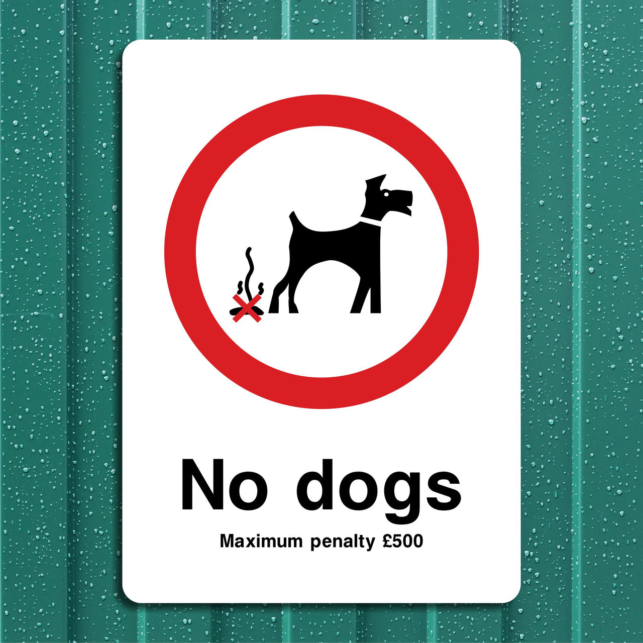 No Dogs Maximum Penalty £500 Sign