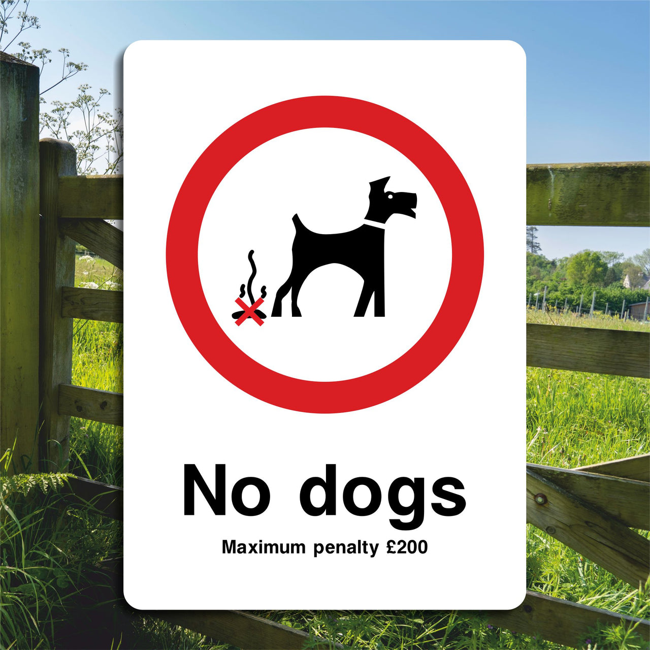 No Dogs Maximum Penalty £200 Sign