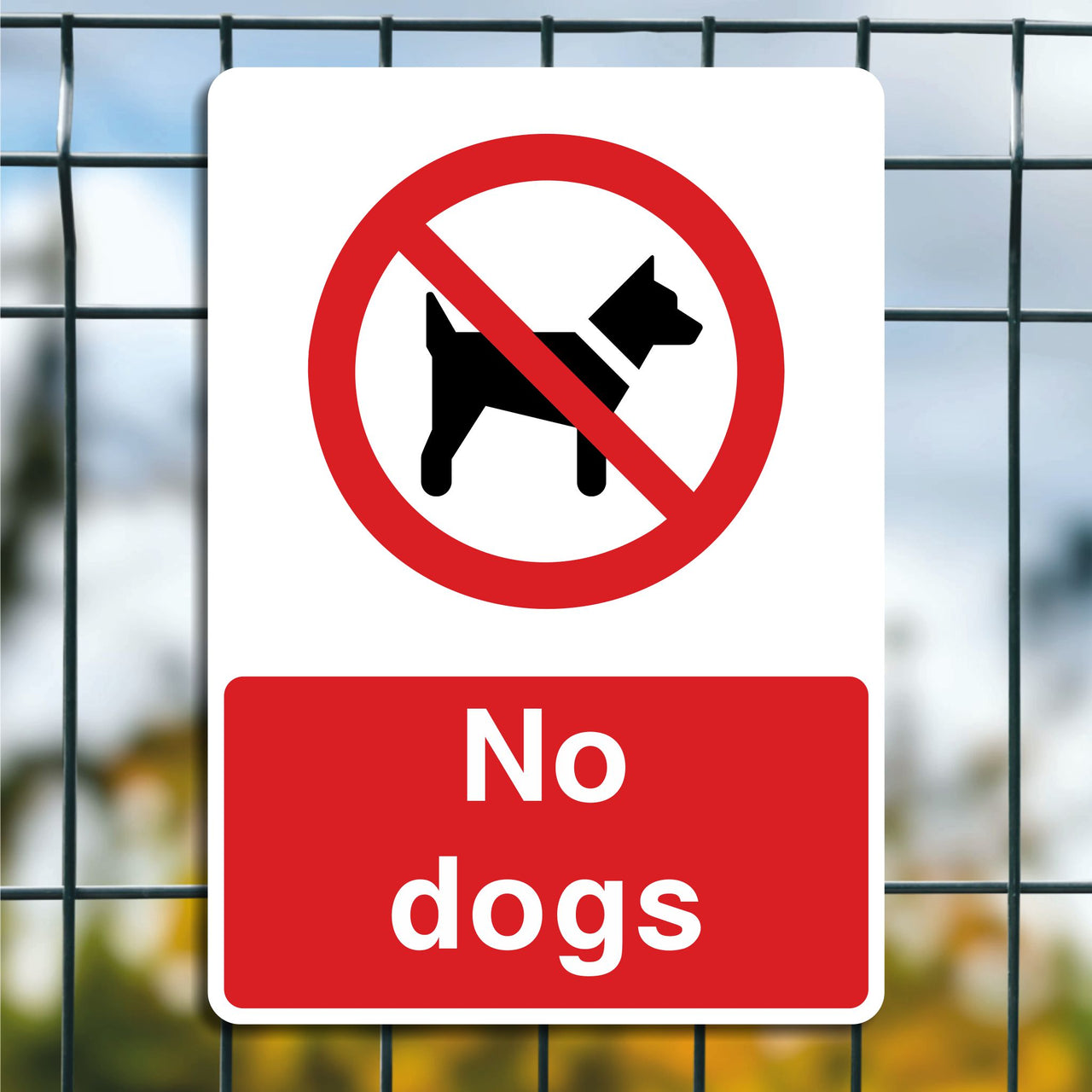 No Dogs Sign