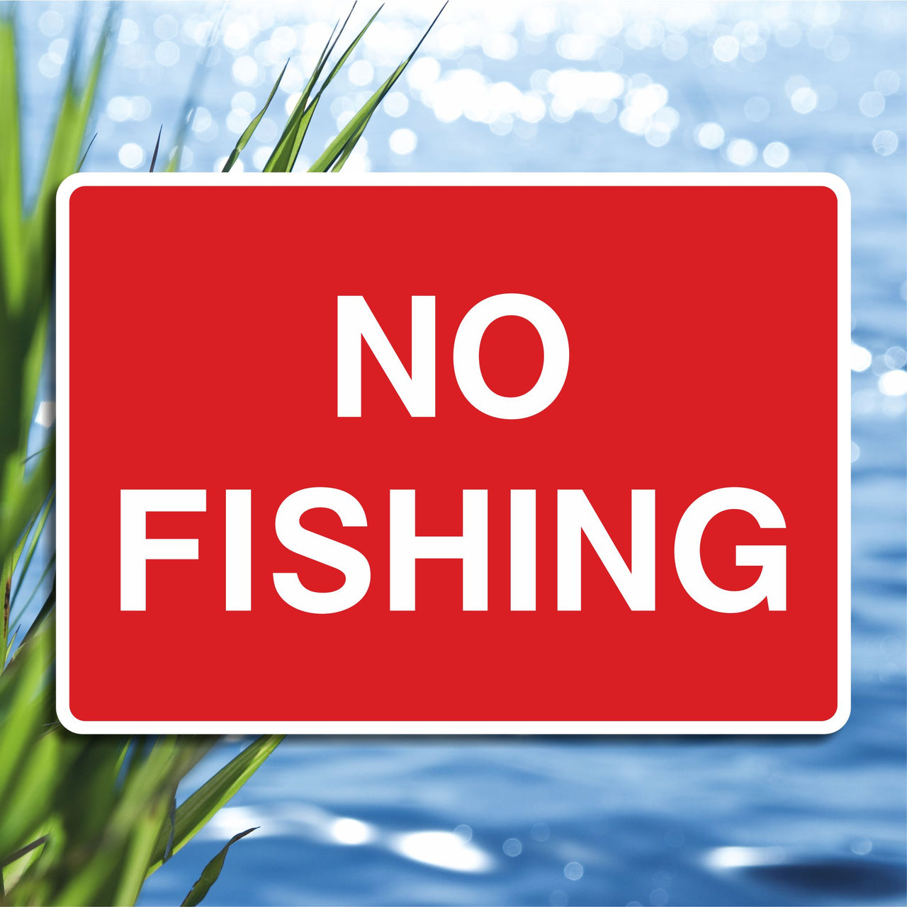 No Fishing Sign