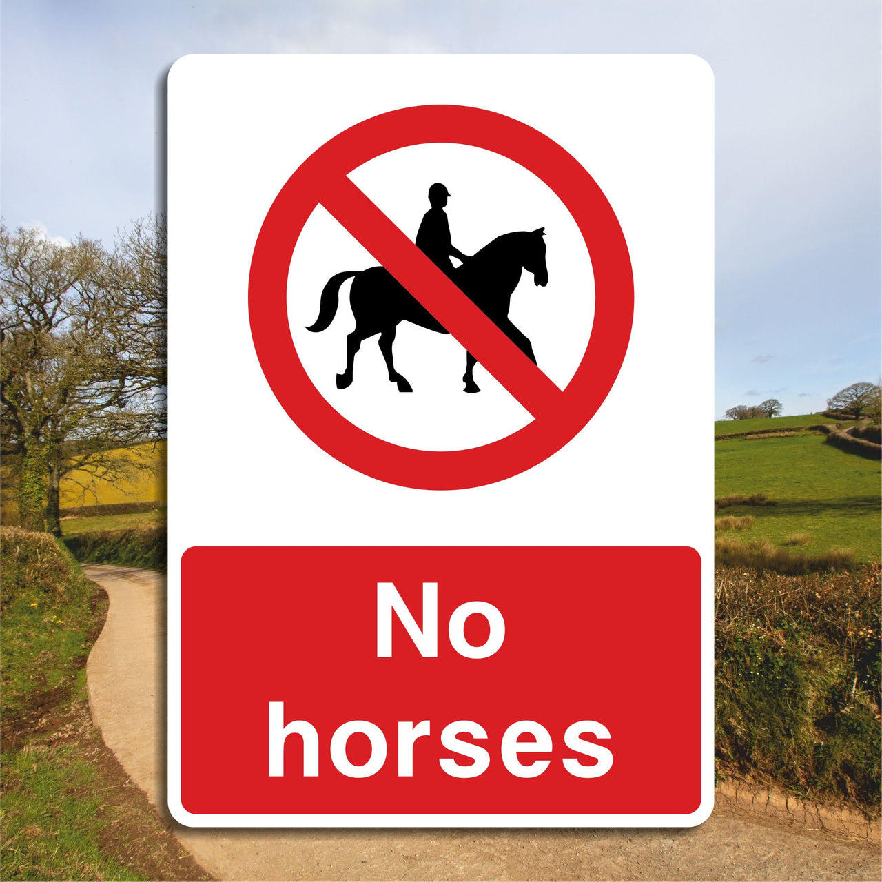No Horses Sign