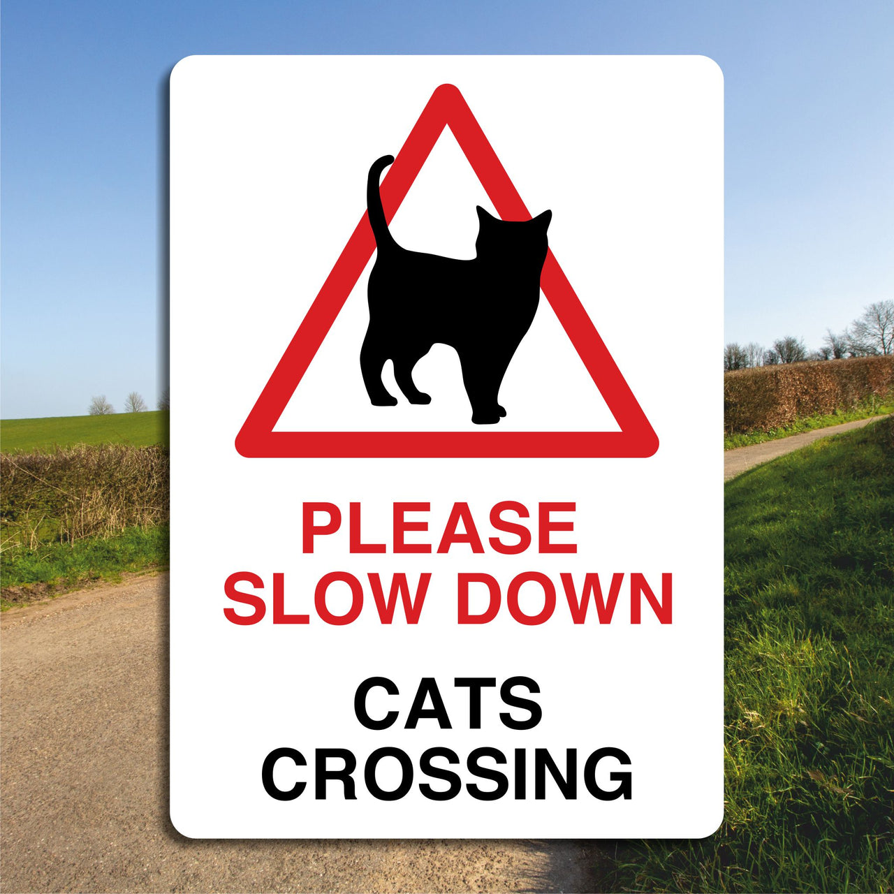 Please Slow Down Cats Crossing Sign