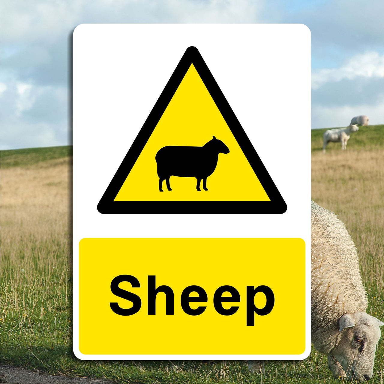 Sheep Warning Sign
