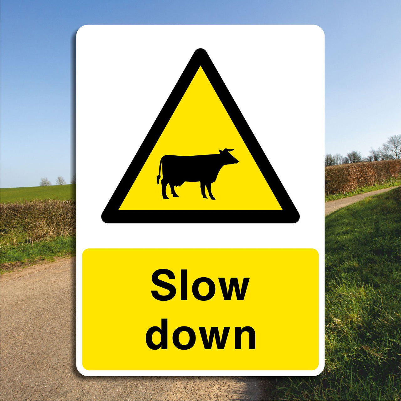 Slow Down Cattle Sign
