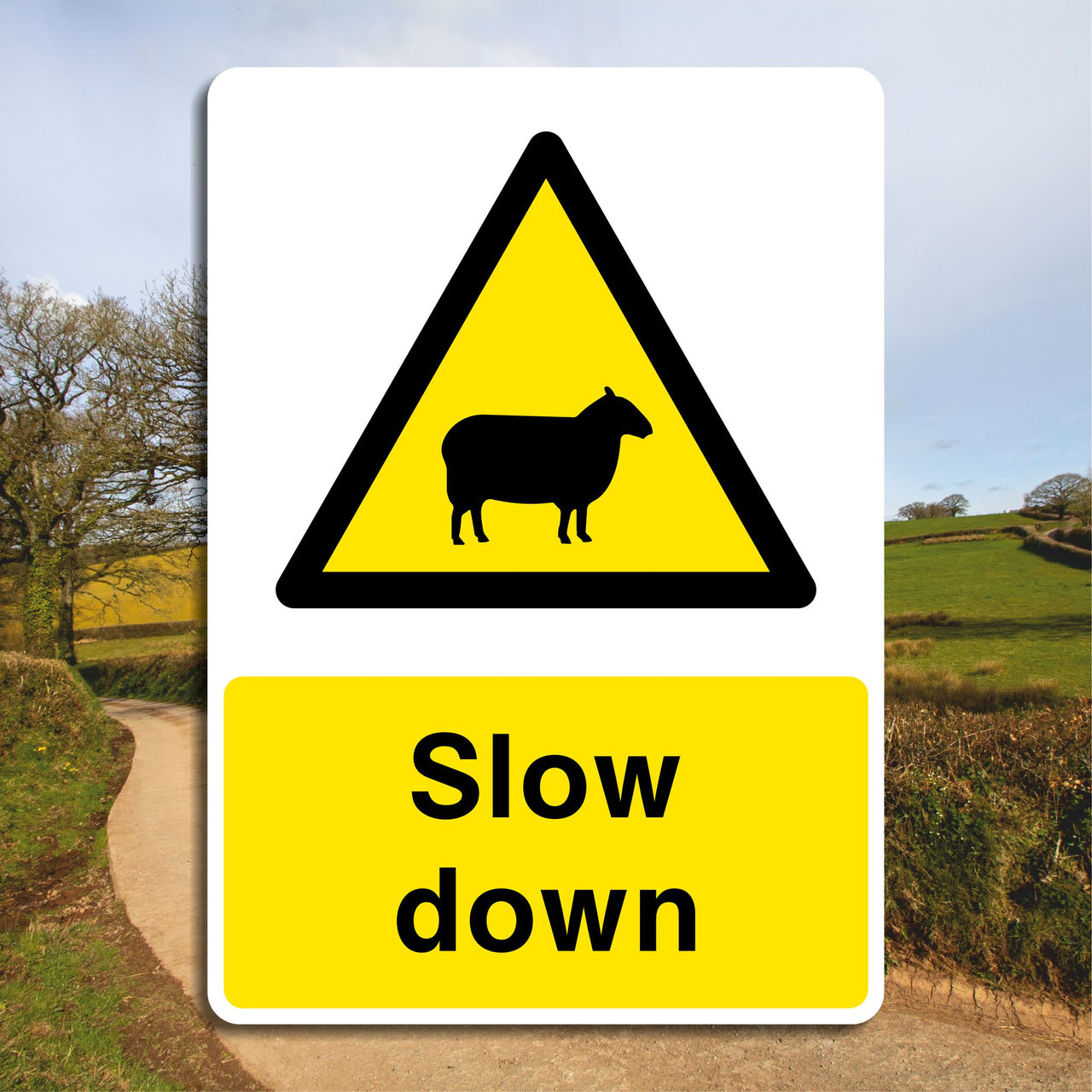 Slow Down Sheep Sign