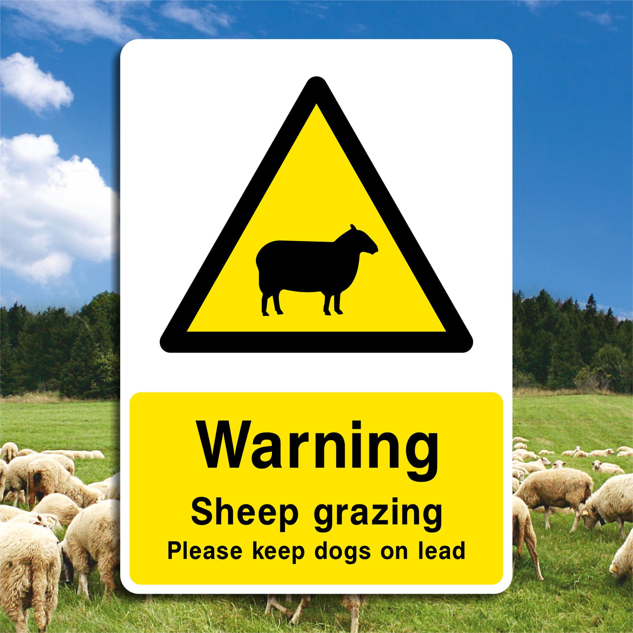 Warning Sheep Grazing Signs